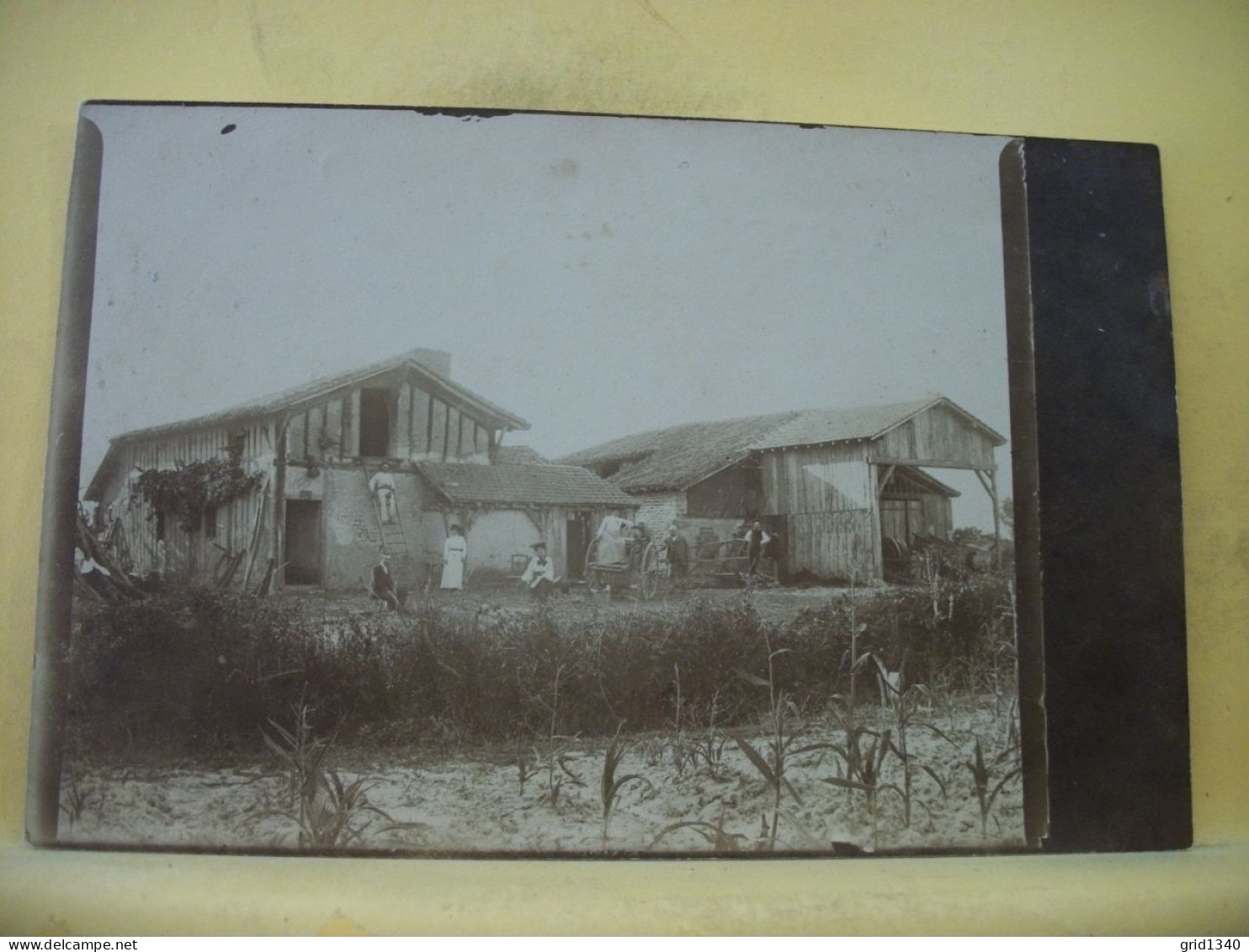 40 4394 LOT DE 3 CPA DIFFERENTES DONT 1 CARTE PHOTO SUR FERMES DANS LES LANDES - Boerderijen