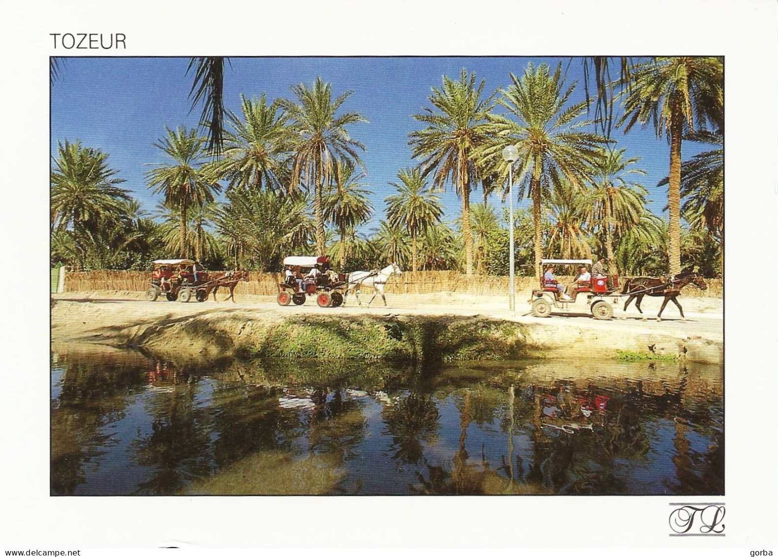 *CPM - TUNISIE - TOZEUR - La Promenade Dans L'oasis - Túnez