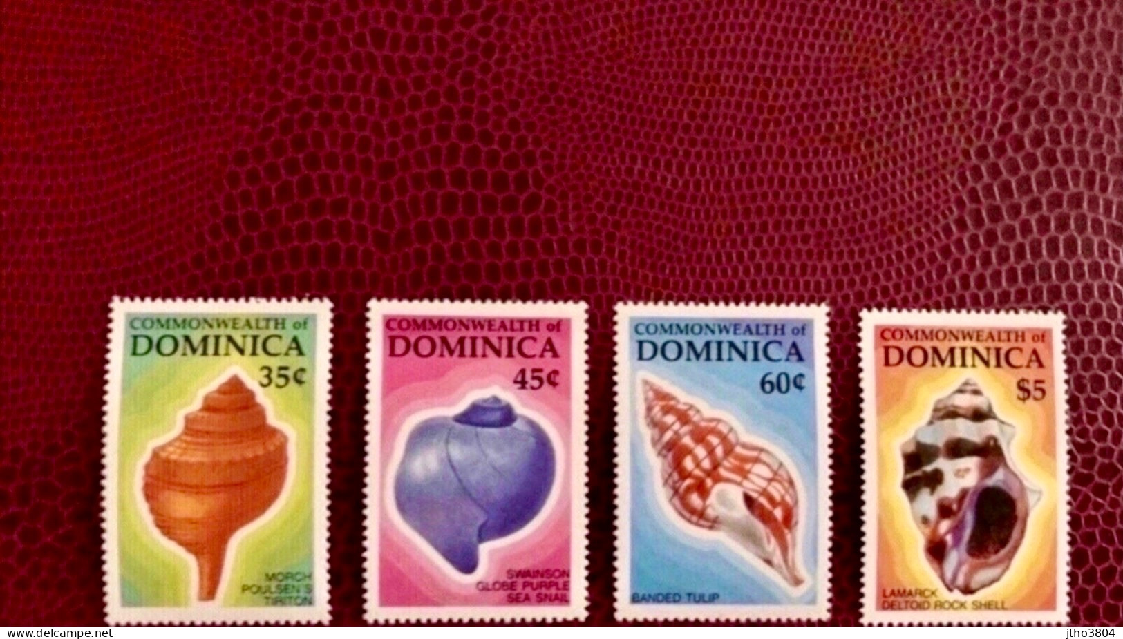 DOMINIQUE 1987 4 V Neuf ** MNH «Mi 1031 A 1035 Coquillage Shells Of Dominica - Schelpen