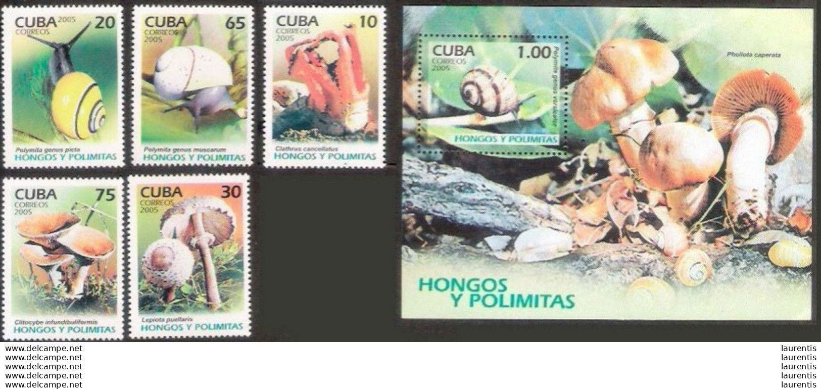 633  Mushrooms - Champignons - Stamps + SS - 2005 - MNH - Cb - 2,25 -- - Mushrooms
