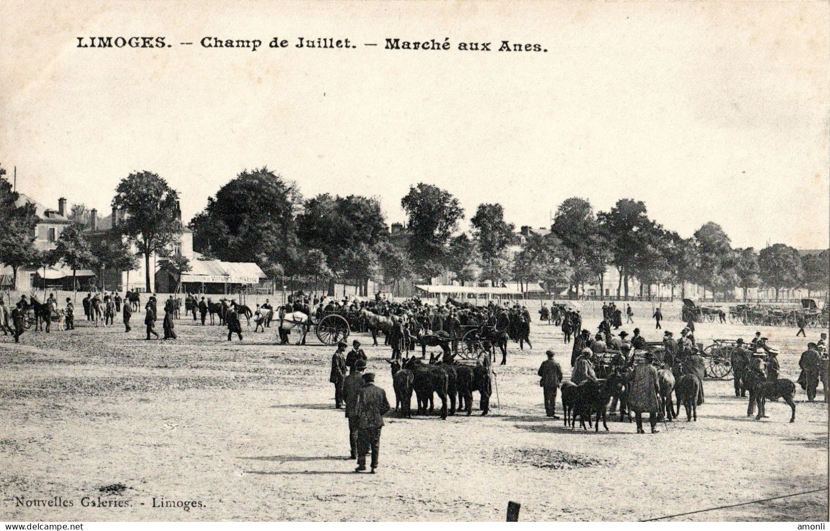 87. HAUTE-VIENNE - LIMOGES. Marché Aux Ânes Du Champ De Juillet. - Limoges