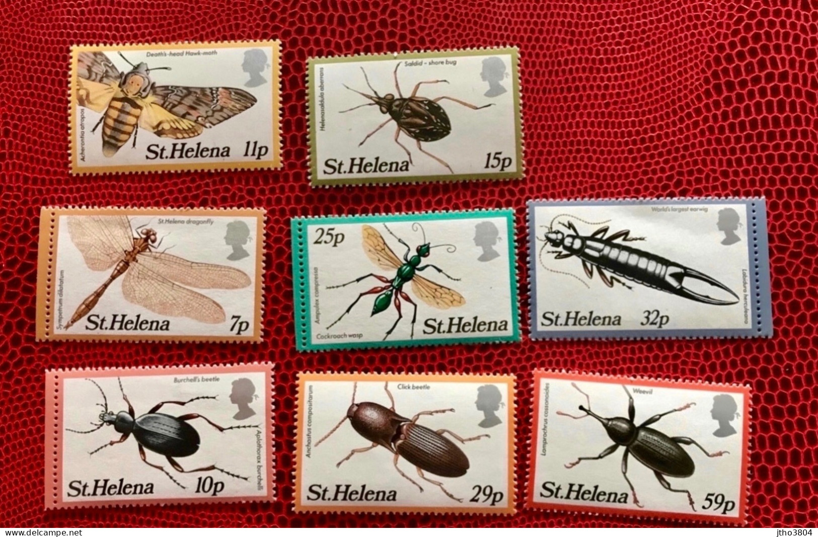 Sainte Helene St. HELENA 1982 1983 Serie Complètes 8v Neuf MNH ** YT 351 A 354 373 A 376 Insect Insect Dragonfly Insekt - Coneshells