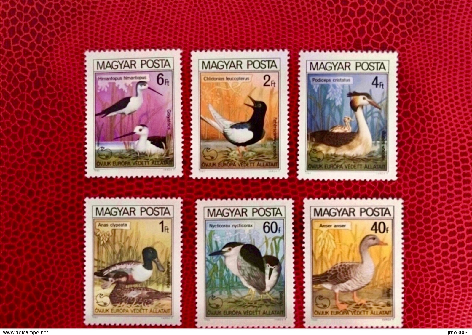 HONGRIE 1980 6v Neuf ** MNH YT 2736 / 2741 Ucello Oiseau Bird Pájaro Vogel HUNGARY UNGARN MAGYAR UNGHERIA - Storchenvögel