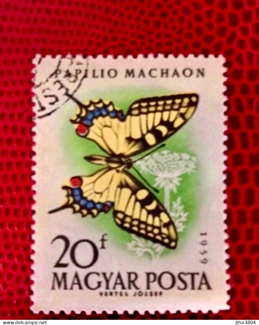 HONGRIE 1959 1v Oblitéré YT 1791 Farfalle Papillons Butterflies Mariposas Schmetterlinge UNGARN MAGYAR UNGHERIA - Vlinders