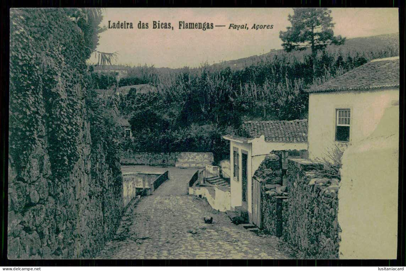 FAIAL - Ladeira Das Bicas.  Carte Postale - Açores