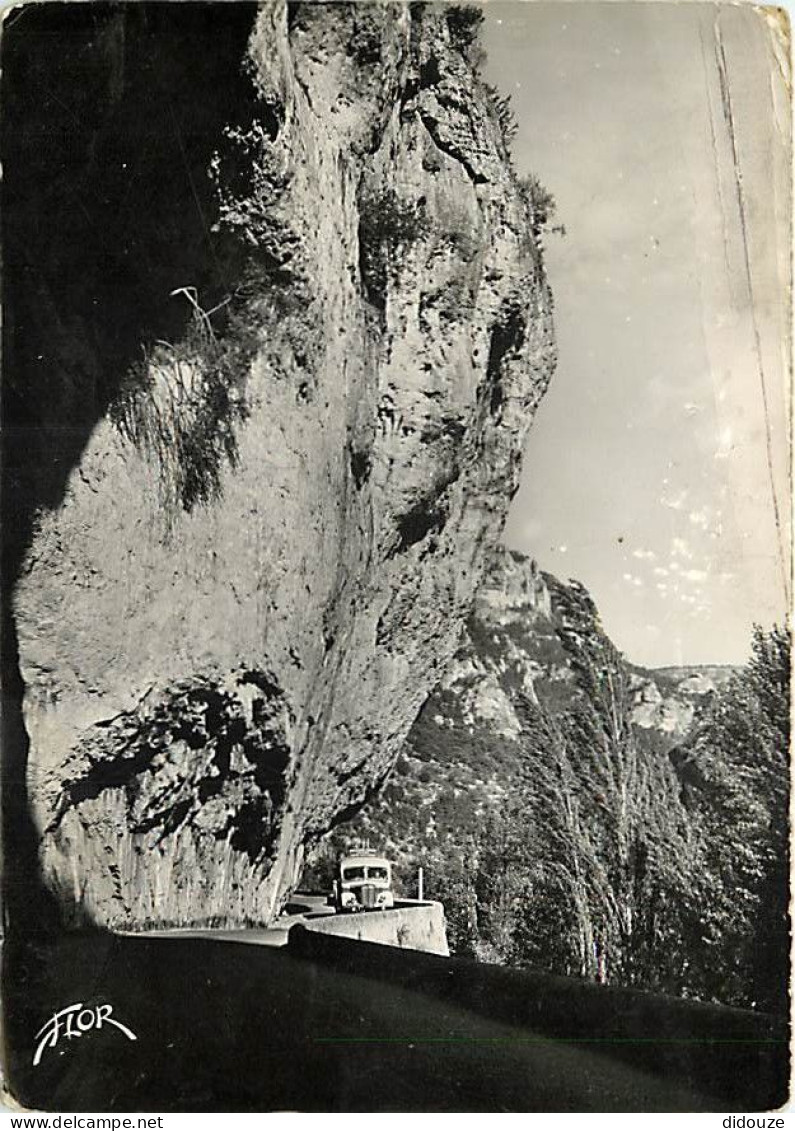 48 - Les Gorges Du Tarn - Qu'adviendroit-il Si Le Rocher S'écroulait - Automobiles - Bus - Mention Photographie Véritabl - Gorges Du Tarn