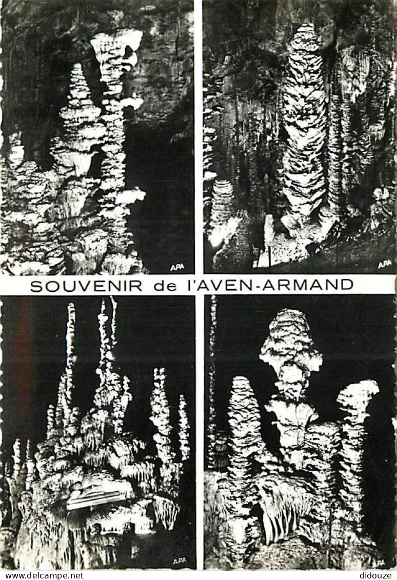 48 - Meyrueis - Grotte De L'Aven Armand - Multivues - Mention Photographie Véritable - Spéléologie - Carte Dentelée - CP - Meyrueis