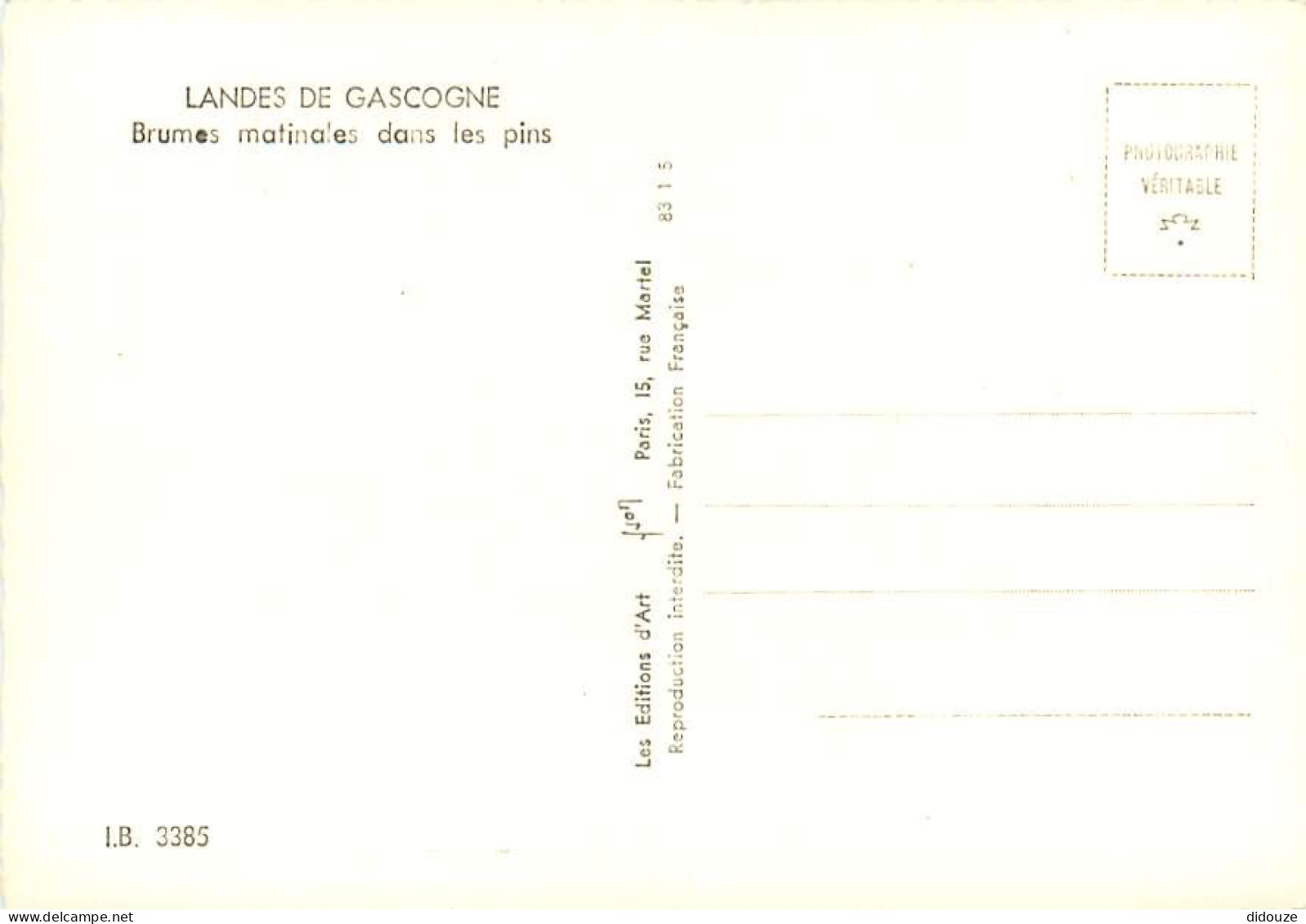 40 - Landes - Landes De Gascogne - Brumes Matinales Dans Les Pins - Mention Photographie Véritable - Carte Dentelée - CP - Altri & Non Classificati