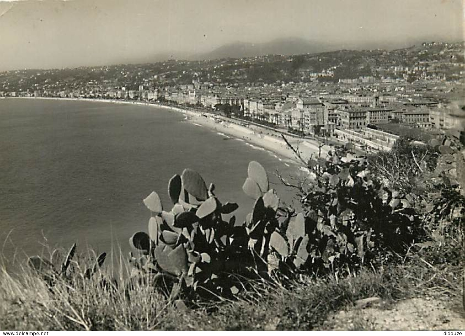 06 - Nice - Vue Générale - Carte Dentelée - CPSM Grand Format - Voir Scans Recto-Verso - Cartas Panorámicas