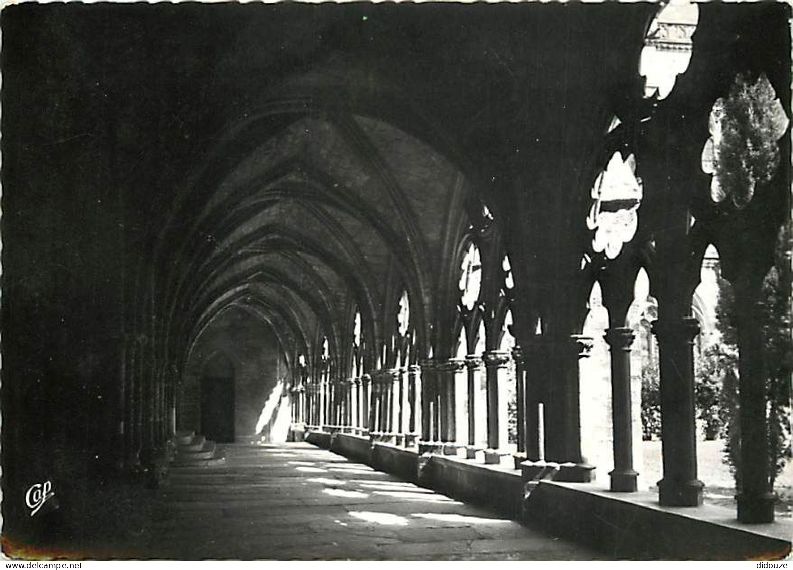 64 - Bayonne - Le Cloître De La Cathédrale Ste-Marie - Mention Photographie Véritable - CPSM Grand Format - Voir Scans R - Bayonne