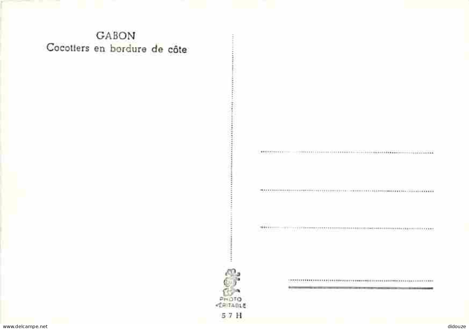 Gabon - Cocotiers En Bordure De Côte - Carte Neuve - CPM - Voir Scans Recto-Verso - Gabun