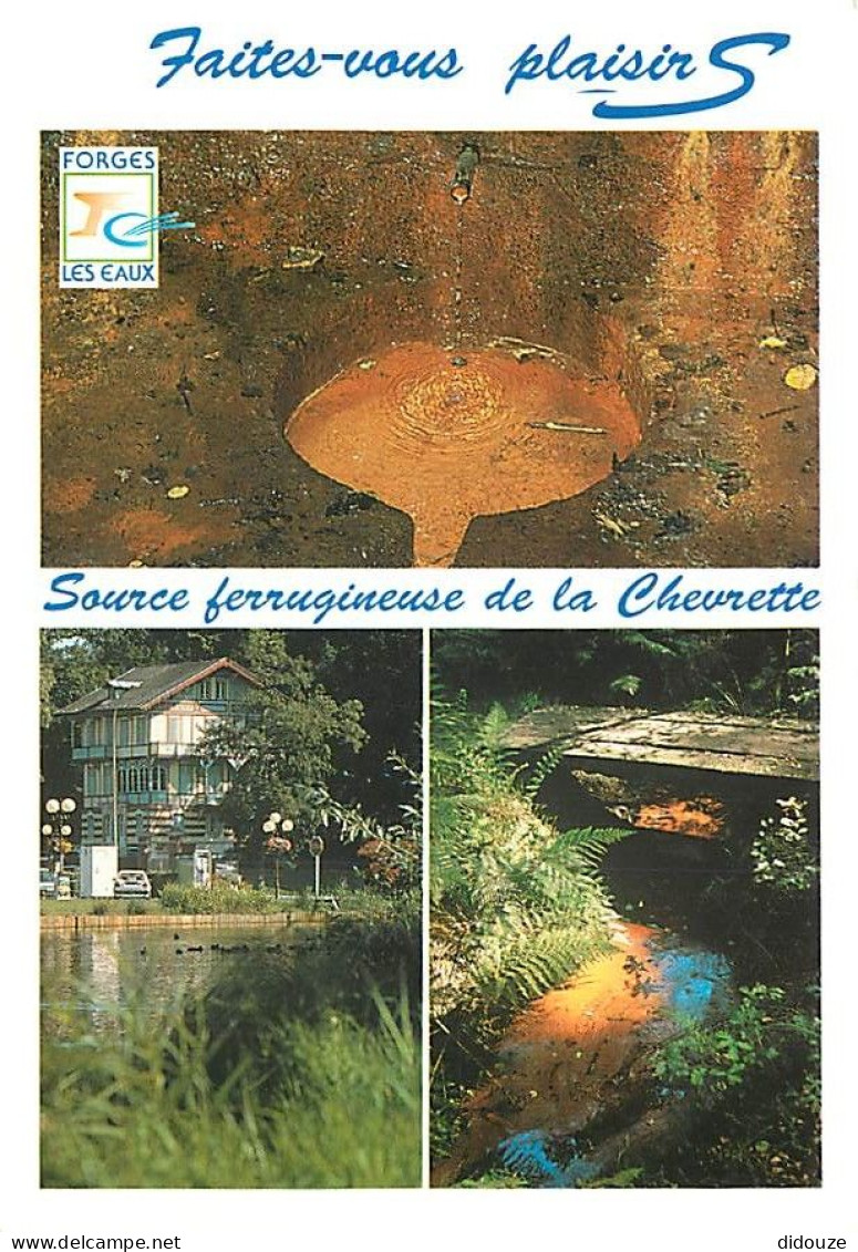 76 - Forges Les Eaux - La Chevrette  Source D'eau Ferrugineuse. Bois De L'Epinay - Multivues - Carte Neuve - CPM - Voir  - Forges Les Eaux
