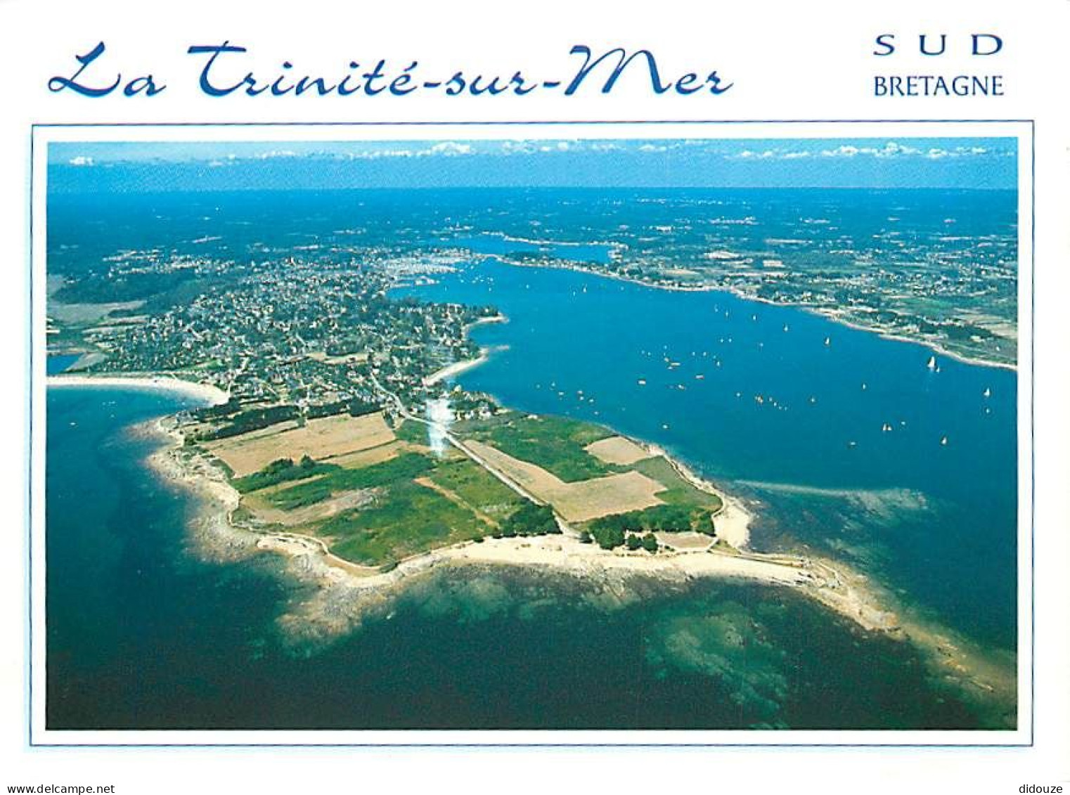 56 - La Trinité Sur Mer - CPM - Voir Scans Recto-Verso - La Trinite Sur Mer