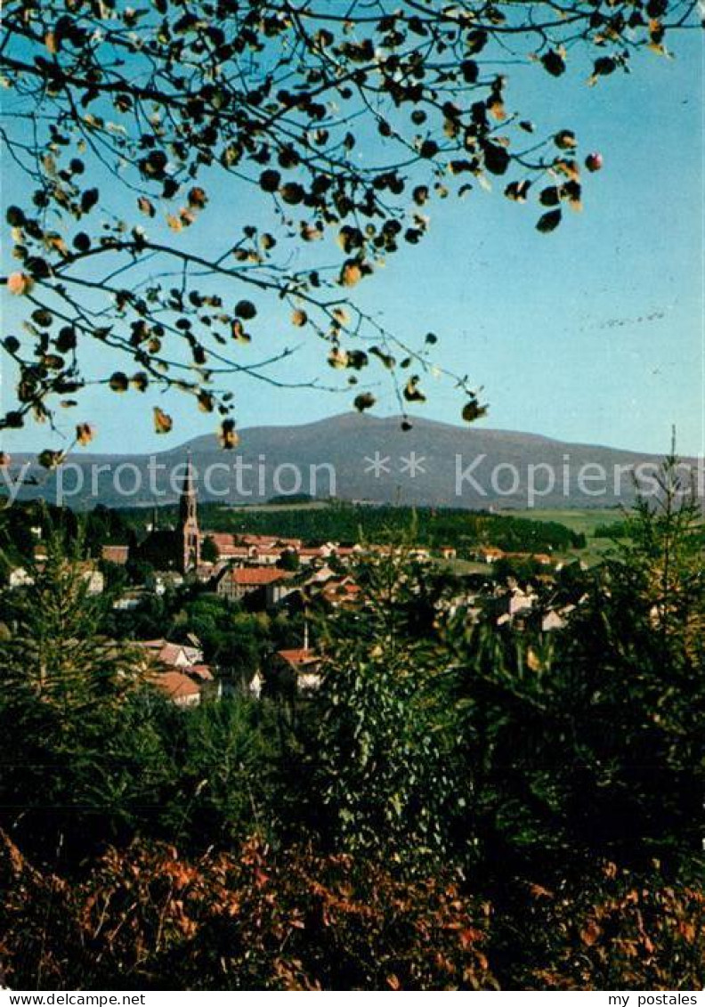 73257478 Zwieselberg Bayern Panorama Waldstadt Zwieselberg Bayern - Zwiesel