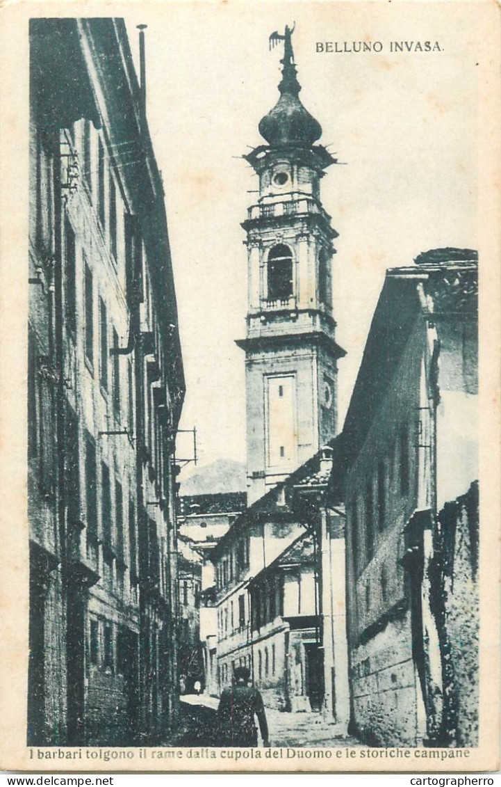 Italy Postcard Belluno Invasa - Belluno