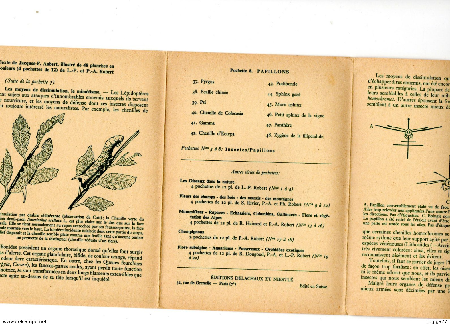 Insectes Papillons - Pochette De 12 Fiches  - Texte J.-F. Aubert - Planches L.-P Et P. A. Robert -  Delachaux Et Niestlé - Dieren