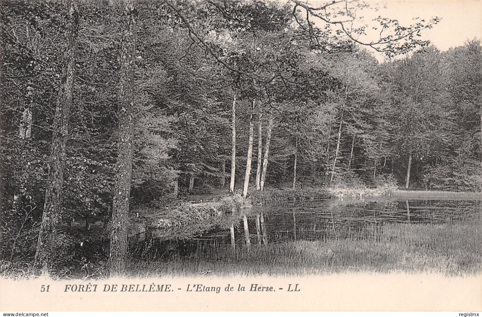 61-FORET DE BELLEME -N°T2502-A/0053 - Other & Unclassified