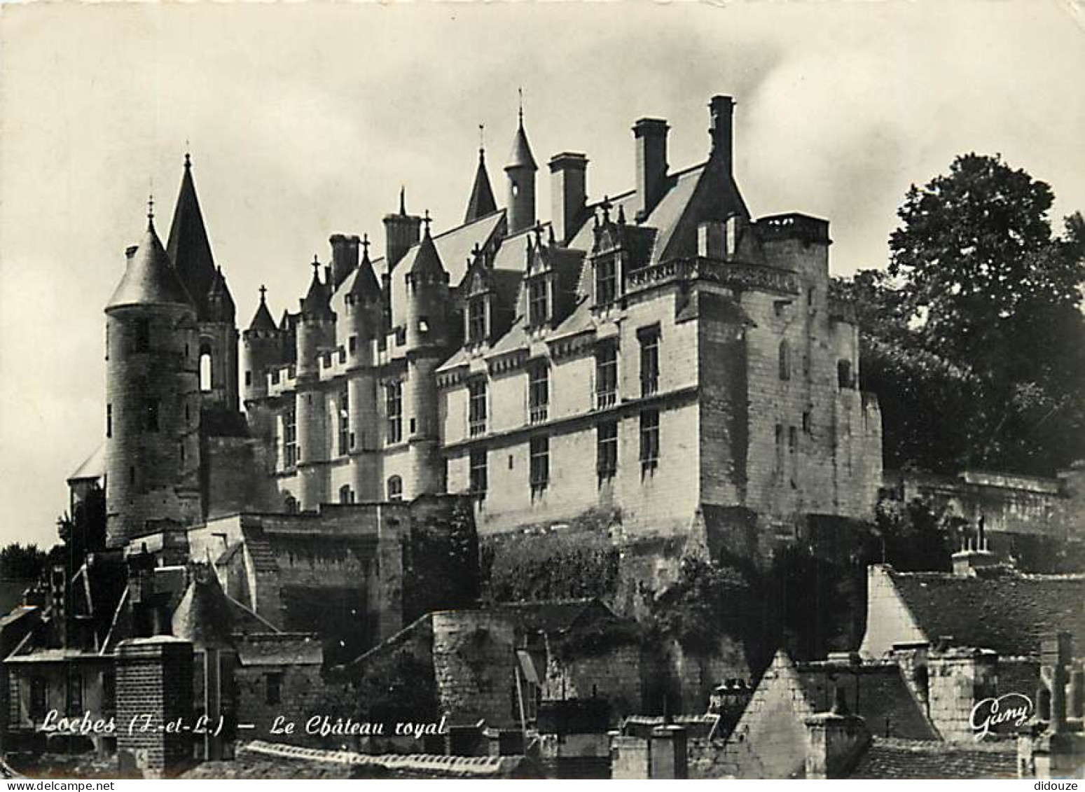 37 - Loches - Le Château - Mention Photographie Véritable - Carte Dentelée - CPSM Grand Format - Voir Scans Recto-Verso - Loches