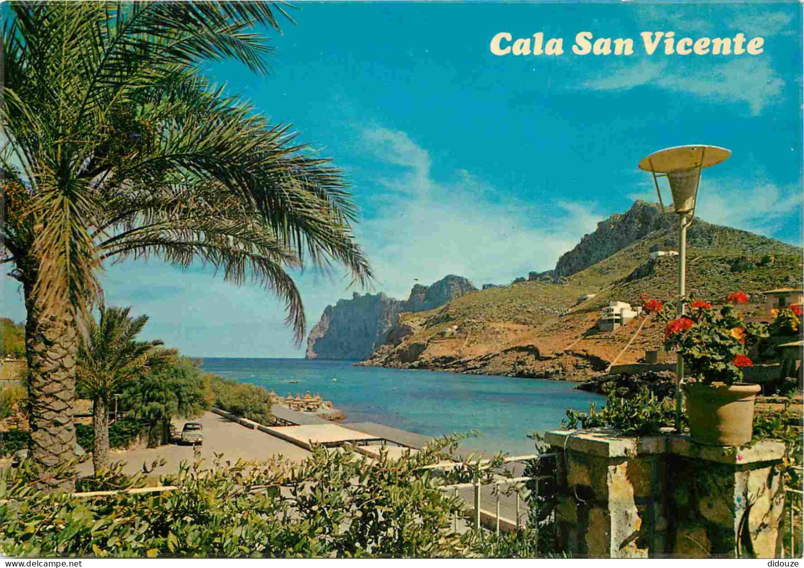 Espagne - Espana - Islas Baleares - Mallorca - Pollensa - Cala San Vicente - CPM - Voir Scans Recto-Verso - Mallorca