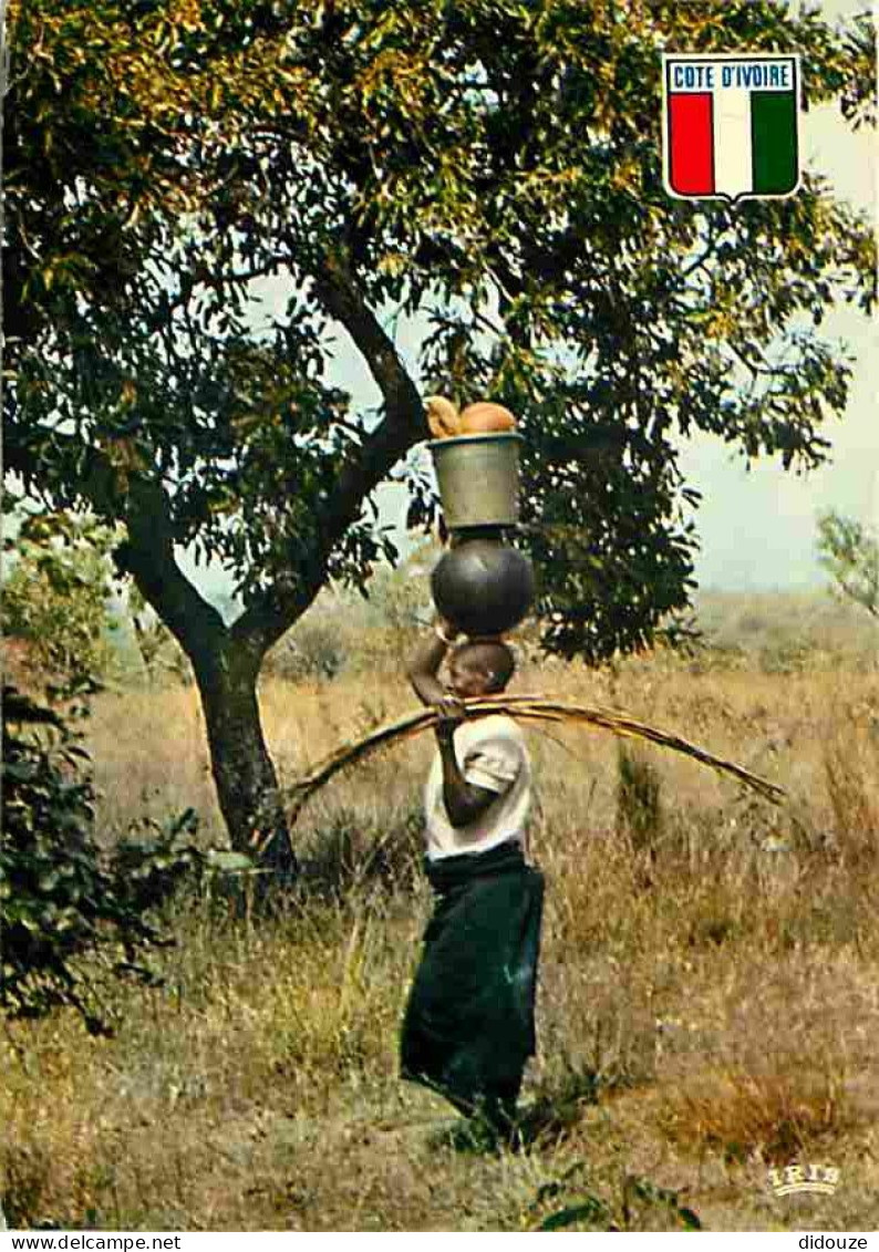 Cote D'Ivoire - Retour Du Marché - Return From The Market - Rùckkehr Vom Markt - Voyagée En 1981 - CPM - Voir Scans Rect - Côte-d'Ivoire