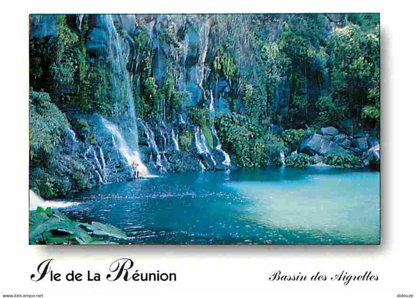 Ile De La Réunion - Bassin Des Aigrettes - CPM - Voir Scans Recto-Verso - Sonstige & Ohne Zuordnung