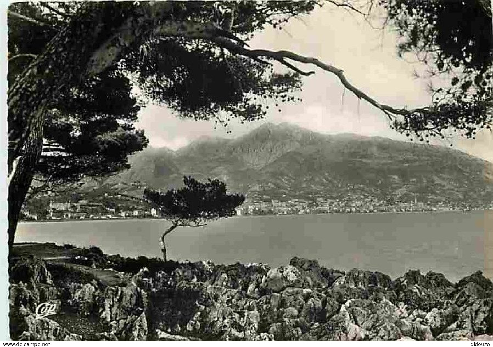 06 - Roquebrune - Cap Martin - Panorama Sur Menton - CPM - Voir Scans Recto-Verso - Roquebrune-Cap-Martin