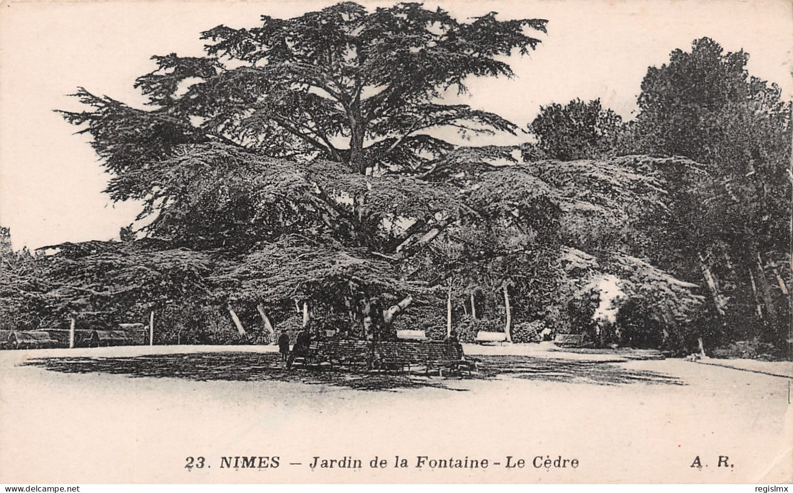 30-NIMES-N°T2513-A/0141 - Nîmes