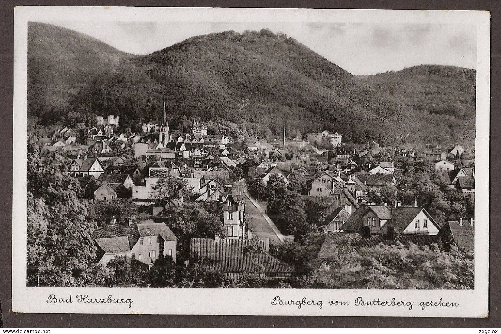 Bad Harzburg - Burgberg Vom Butterberg Gesehen - Bad Harzburg