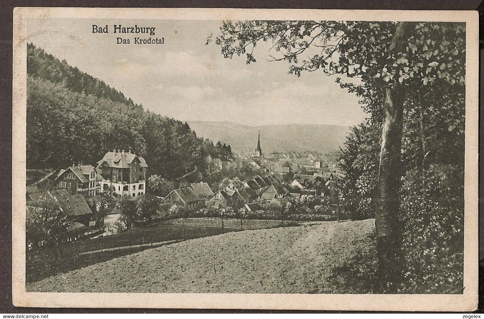 Bad Harzburg 1920 - Das Krodotal - Bad Harzburg