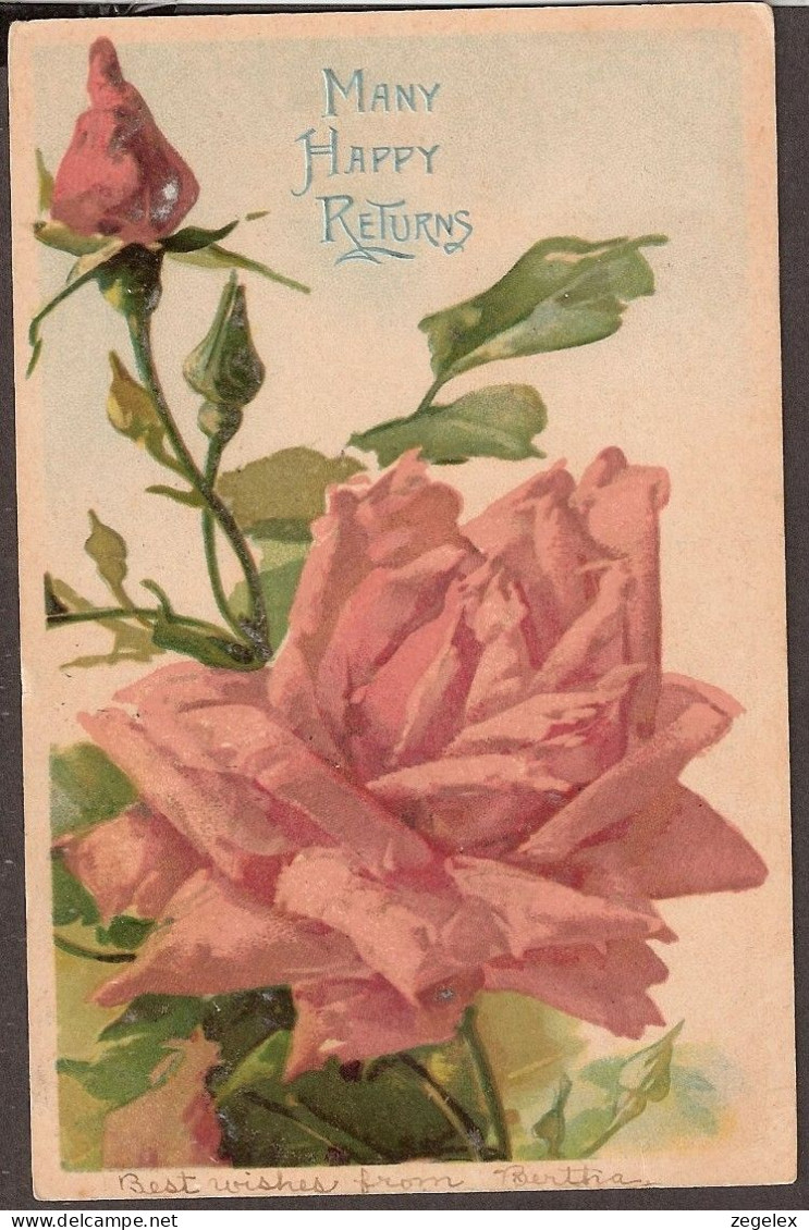 Best Wishes 1905 Beautiful Painted Roses - Birthday