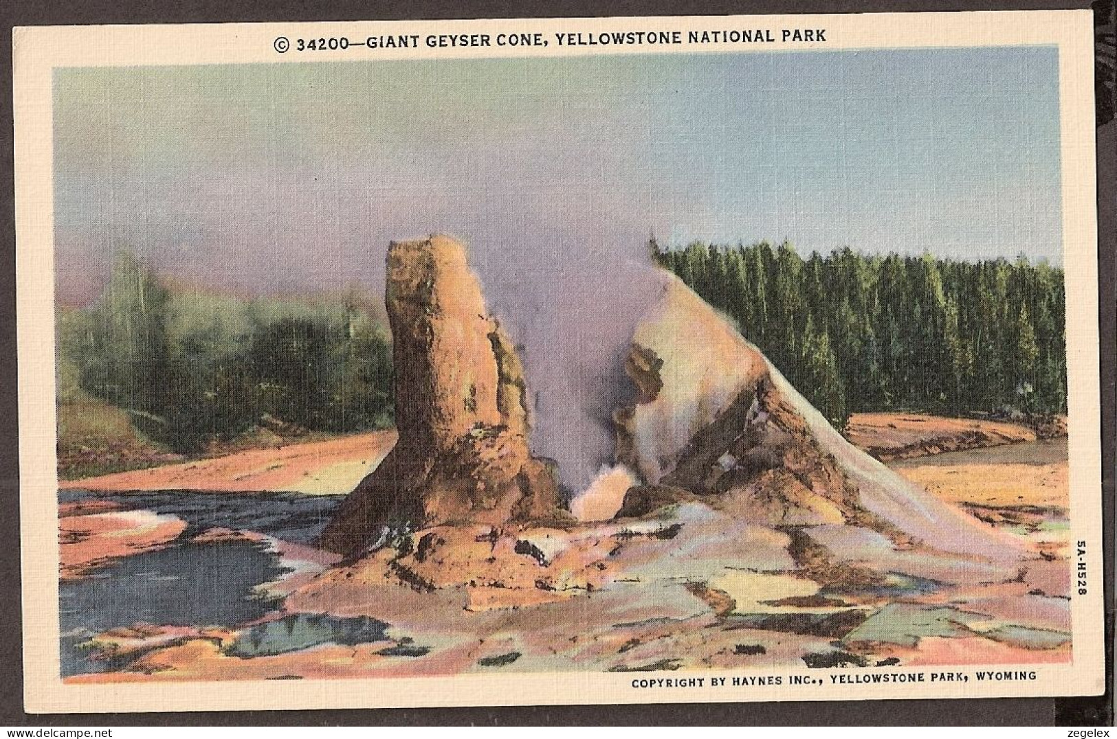 Yellowstone National Park - Giant Geyser Cone  - Parques Nacionales USA