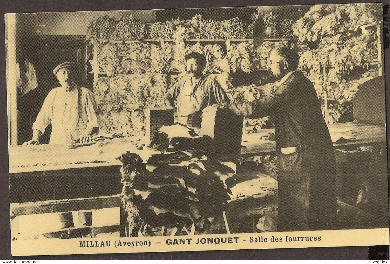 Millau (Aveyron) - Gant Jonquet - Salle Des Fourrures - Reprint - Millau