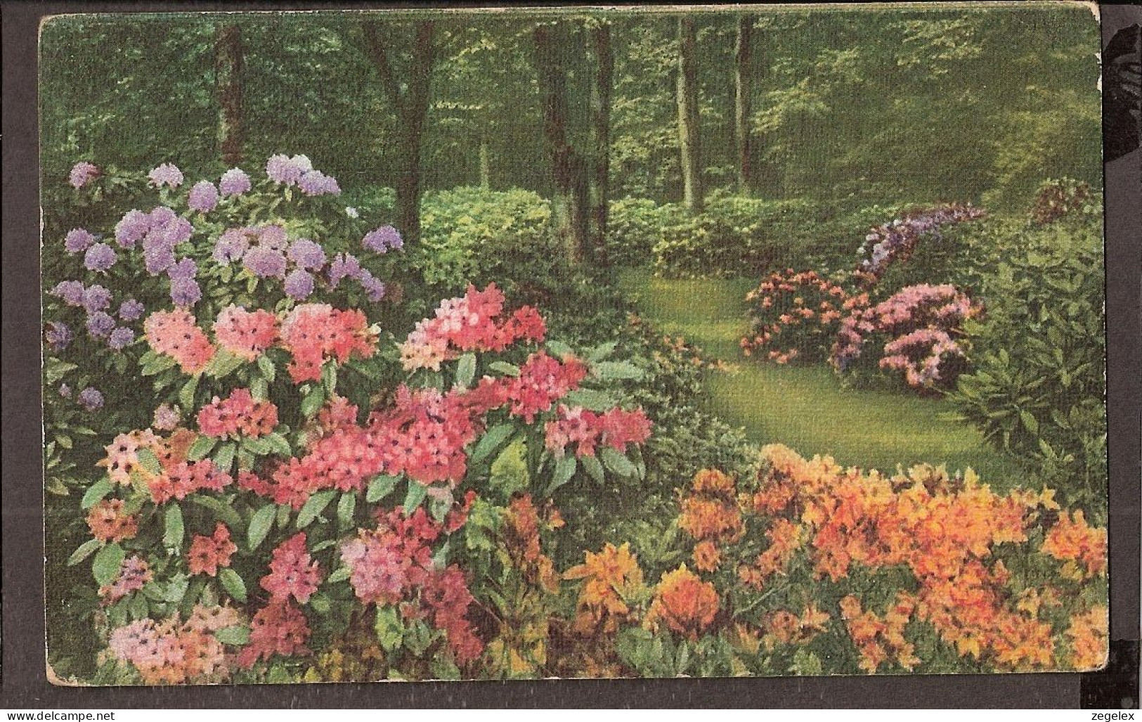 Des Fleurs Dan S Le Fôret - Jolie CPA 1933  - Vintage Card - 1900-1949