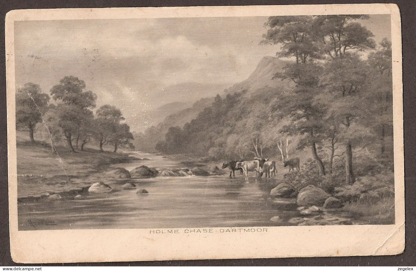 Holme Chase Dartmoor - Cows In The River - 1906 - Dartmoor