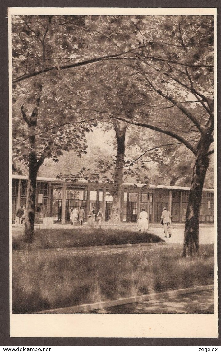 Wien, Vienna, Städtisches Strandbad "Gänsehäufel - Sonstige & Ohne Zuordnung