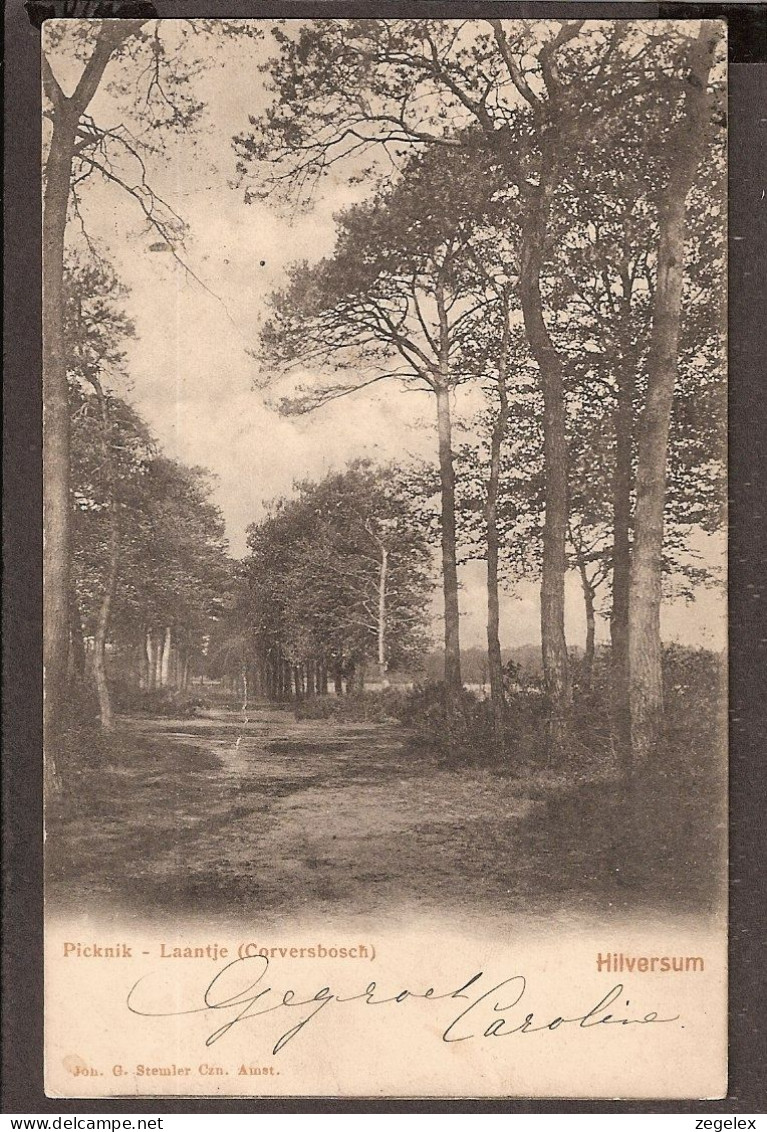 Hilversum - Rond 1900 - Picknik Laantje (Corverschbosch) Corversbos - Hilversum
