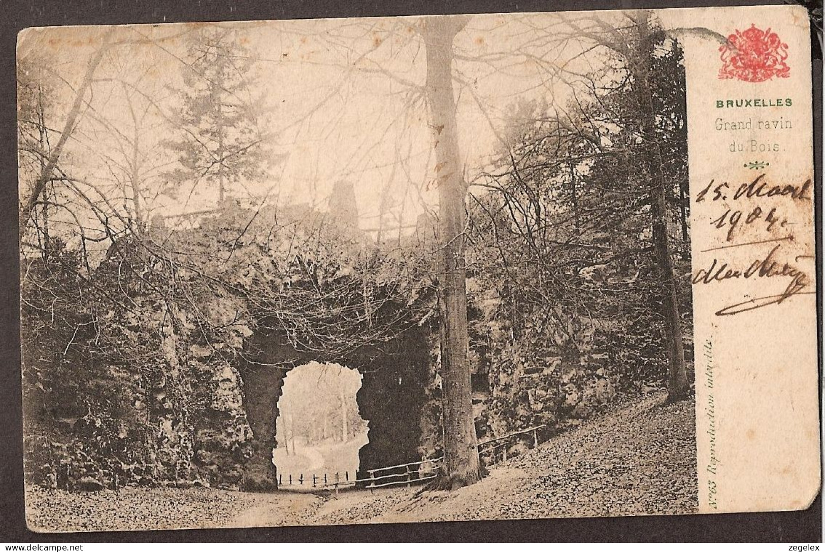 Bruxelles 1904 - Grand Ravin Du Bois - Foreste, Parchi, Giardini