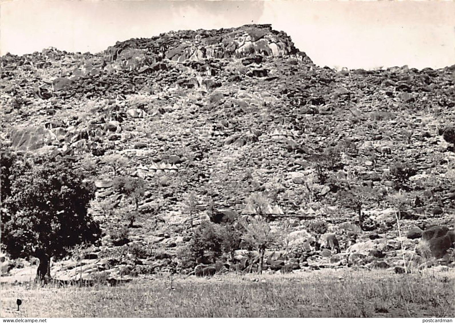 Cameroun - MOKOLO - Sarés Maffa Accrochés à La Montagne - TAILLE DE LA CARTE POSTALE 15 Cm. Par 10 Cm. - POSTCARD SIZE 1 - Cameroun