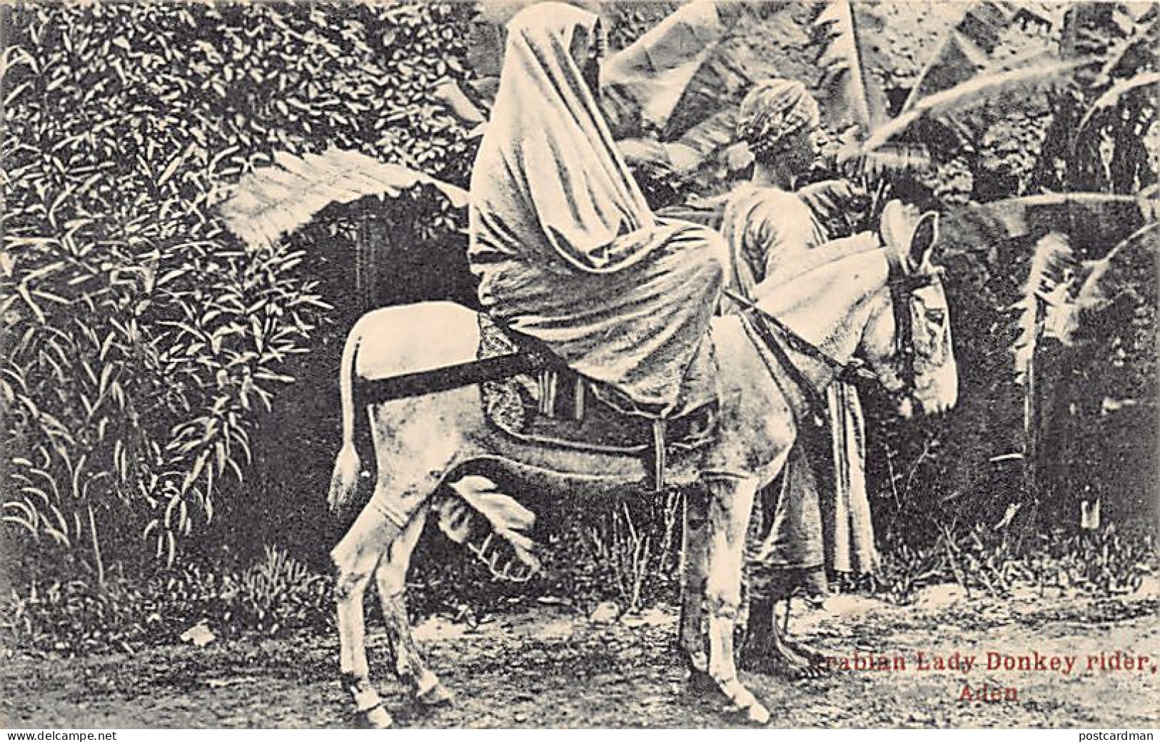 Yemen - ADEN - Arab Lady Riding A Donkey - Publ. I. Benghiat & Son  - Yémen