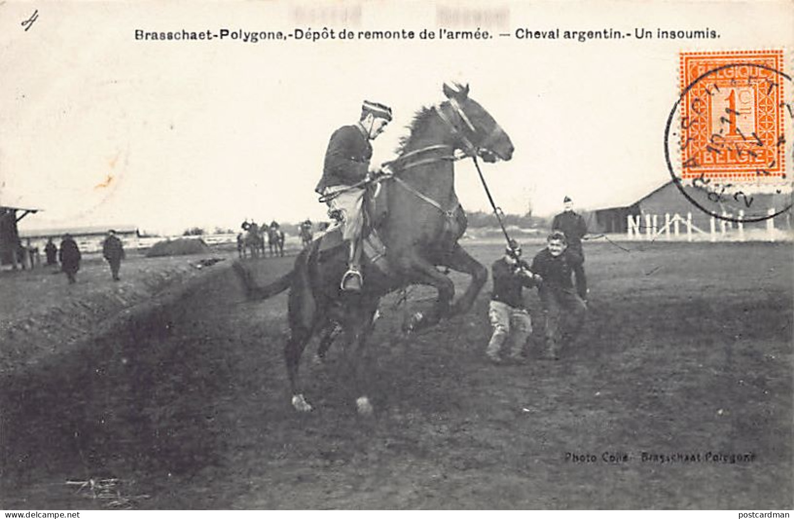 Brasschaat Polygoon - Dépôt De Remonte De L'armée - Cheval Argentin, Un Insoumis - Uitg. Colle. - Brasschaat