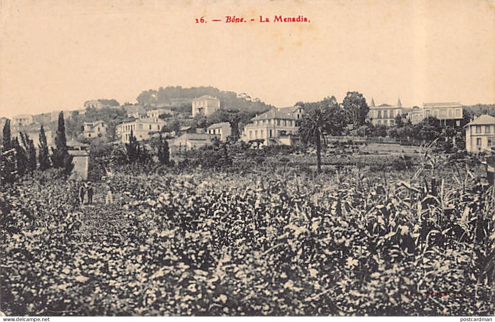 BÔNE Annaba - La Menadia - Annaba (Bône)