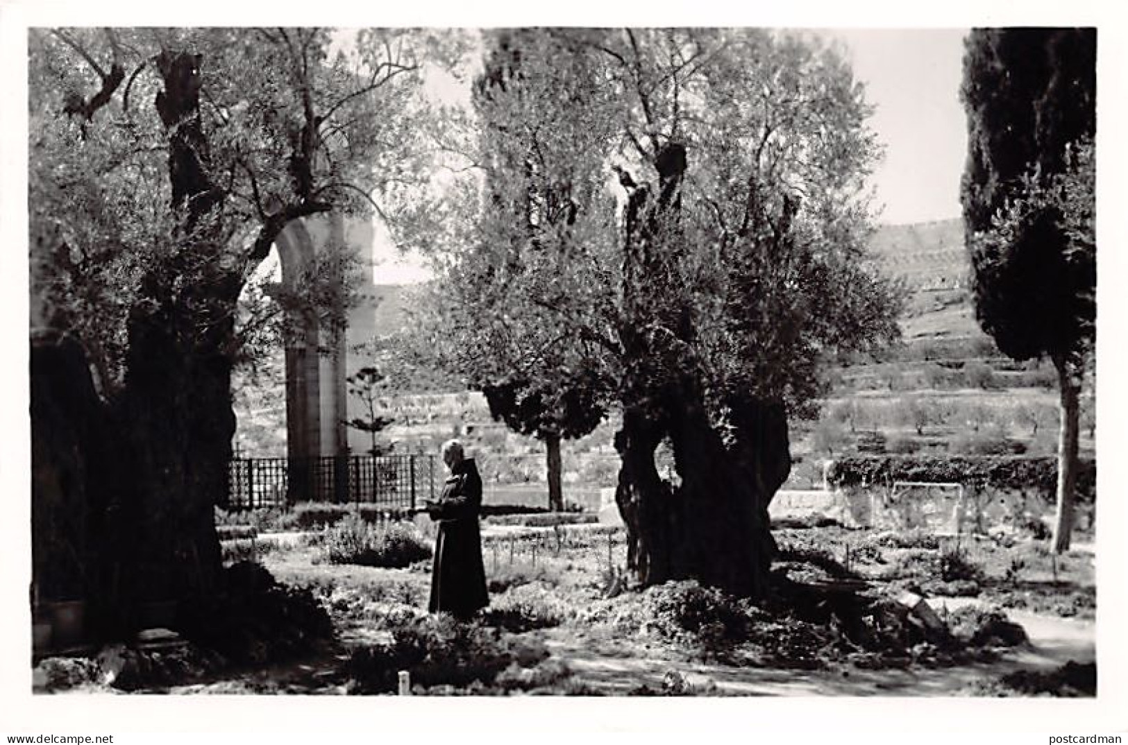 Israel - JERUSALEM - Garden Of Gethsemane - Publ. Photo Rex  - Israël