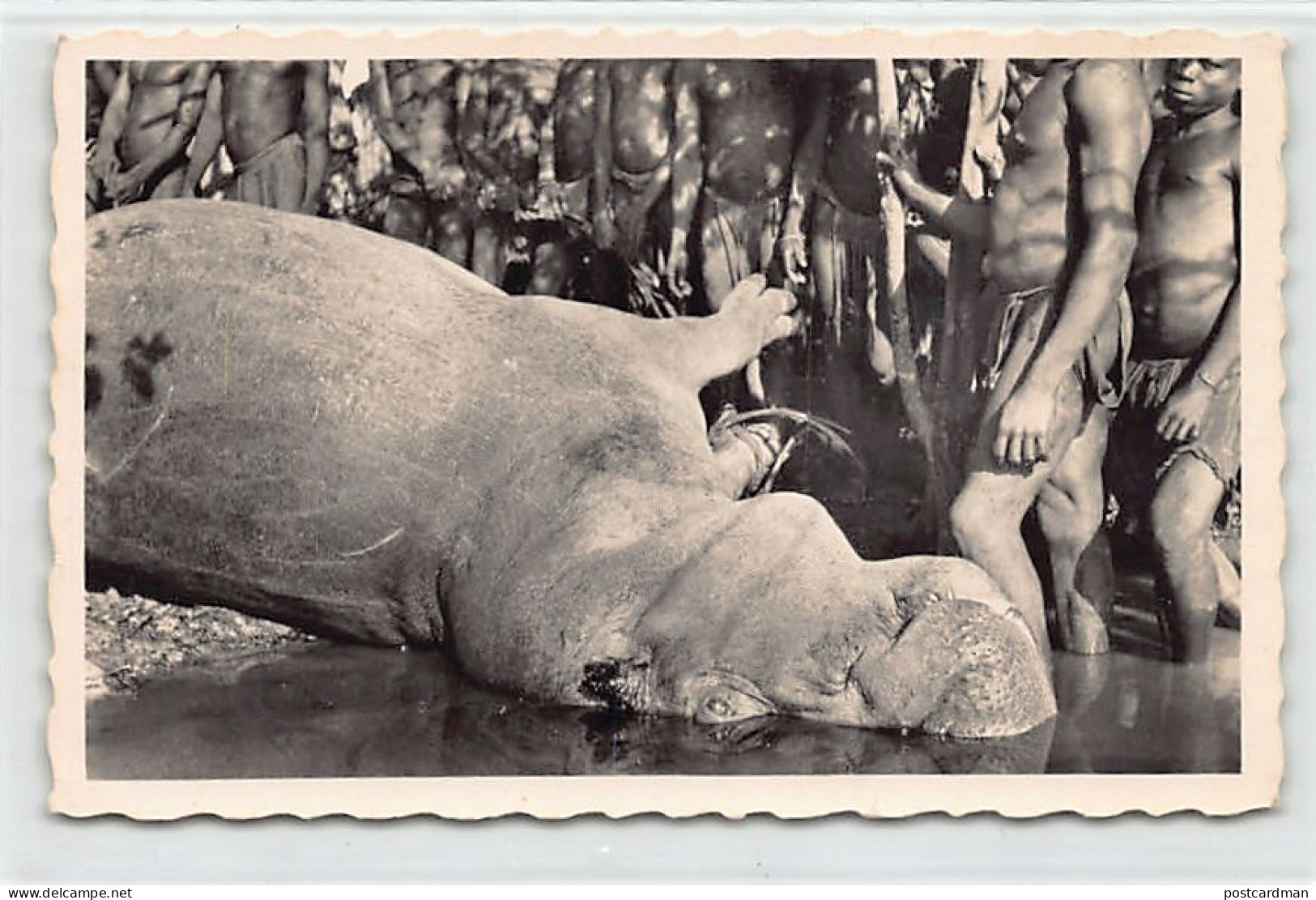 Mali - Hippopotame Tué Sur Le Fleuve Niger - Ed. G. Labitte 26 - Mali