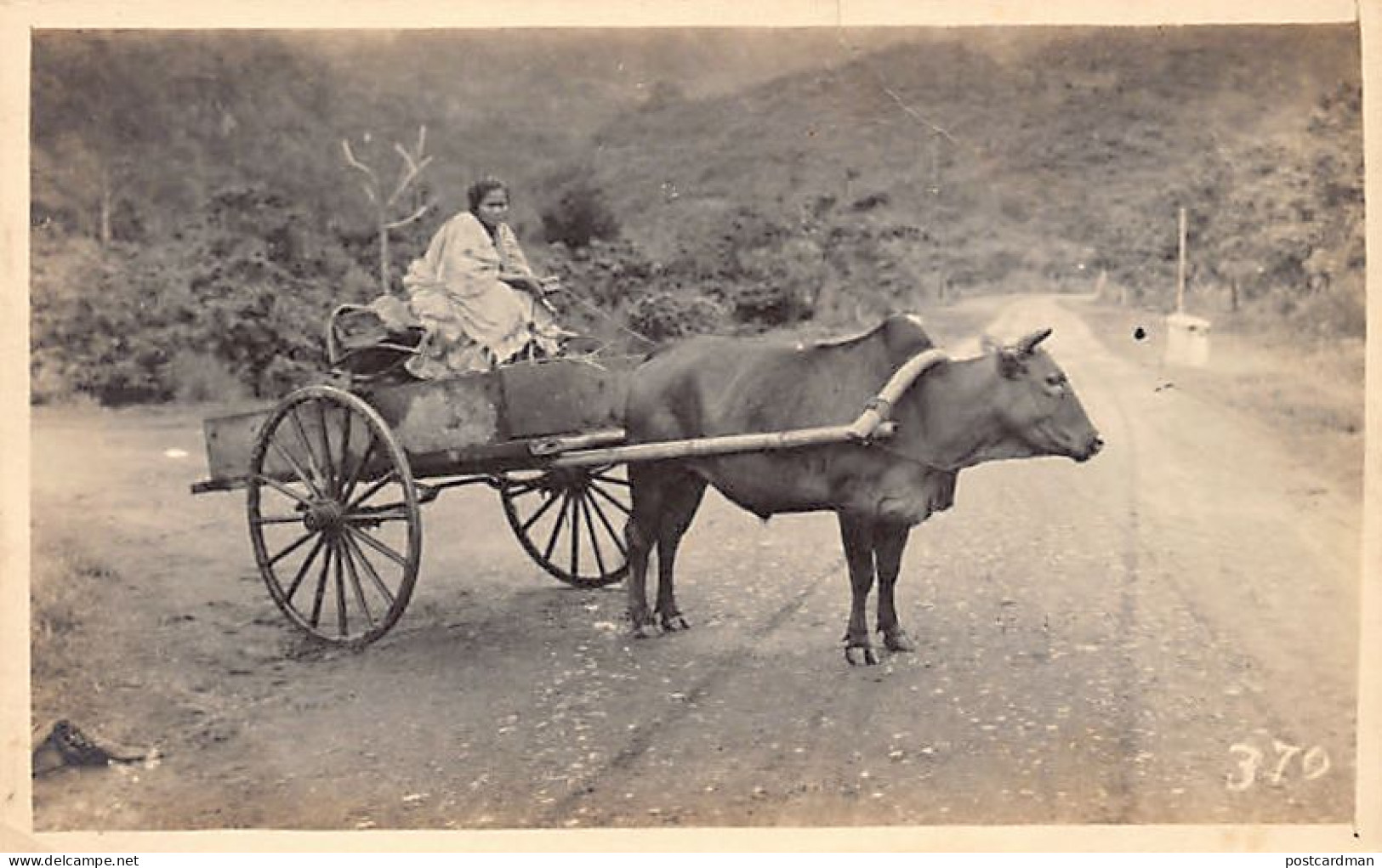 Philippines - Filipina Lady And Carabao - REAL PHOTO - Publ. Unknown  - Filippine