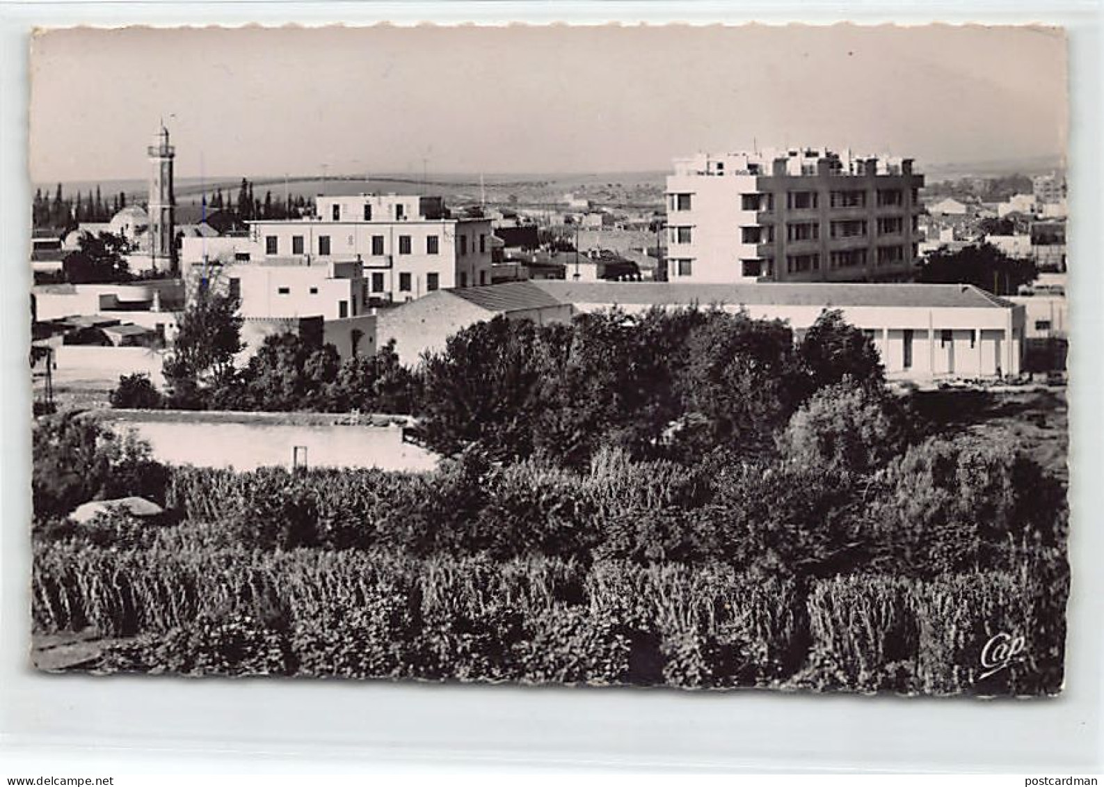 Algérie - SIDI BEL ABBÈS - Vue Générale Vers La Gendarmerie Et La Mosquée - Ed. CAP 84 - Sidi-bel-Abbes