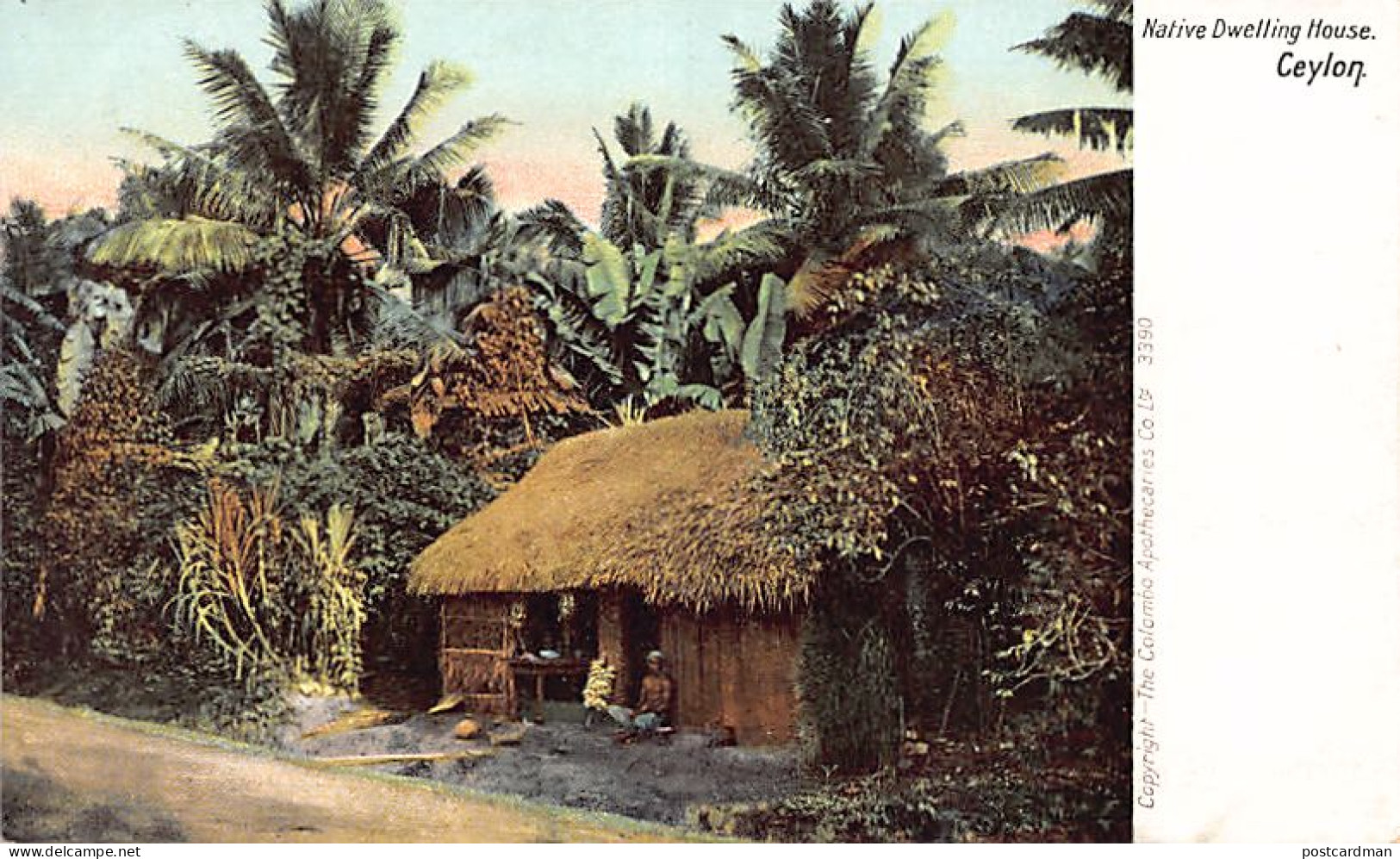 Sri Lanka - Native Dwelling House - Publ. The Colombo Apothecaries Co. Ltd. 3390 - Sri Lanka (Ceylon)