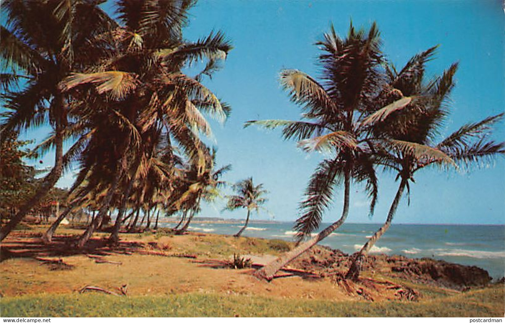 Dominican Republic - Palm-fringed Coast - Publ. Farmacia Esmeralda 1 - República Dominicana