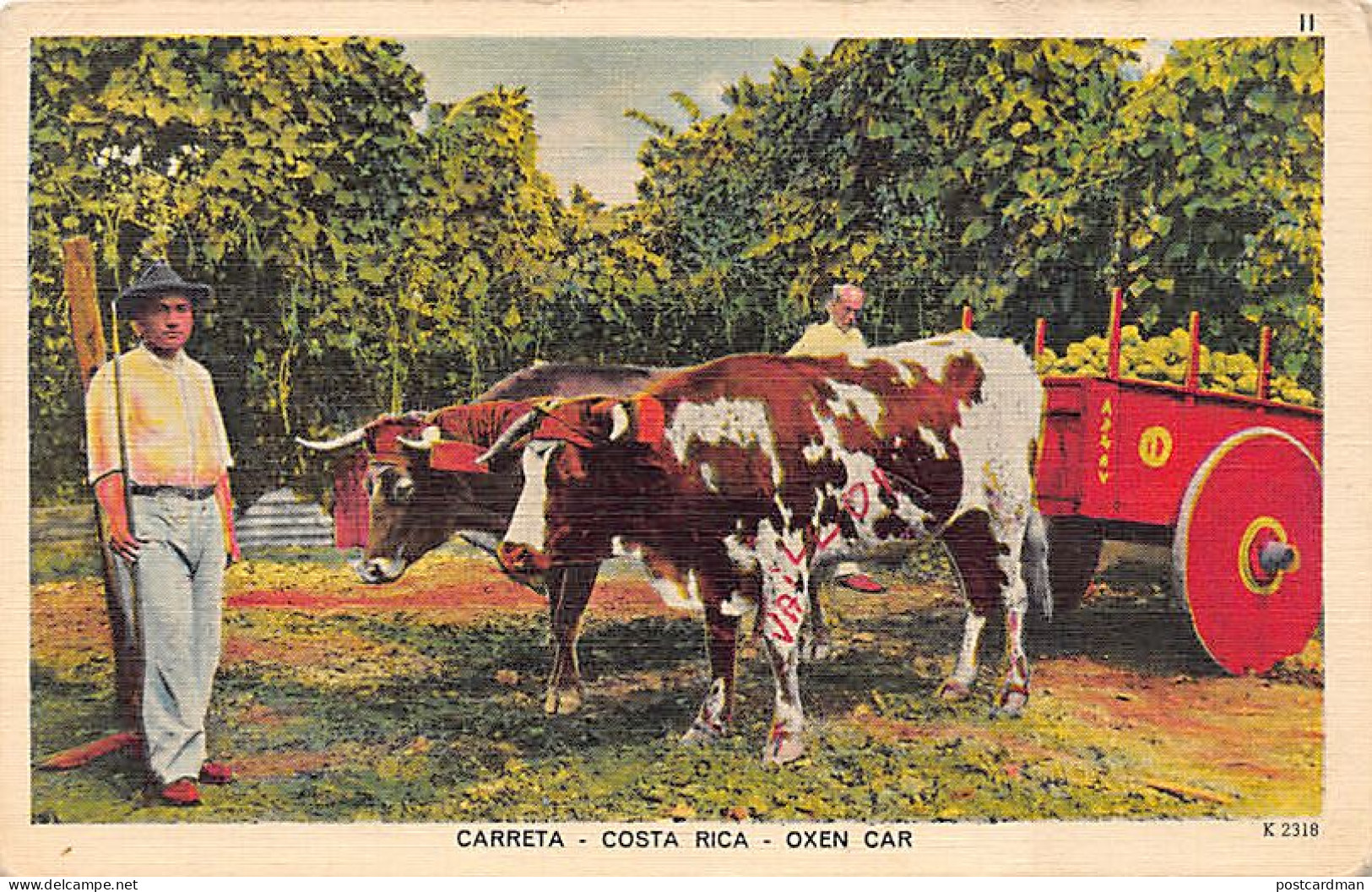 COSTA RICA - Carreta - Oxen Car - Publ. Carlos Federspiel & Co.  - Costa Rica