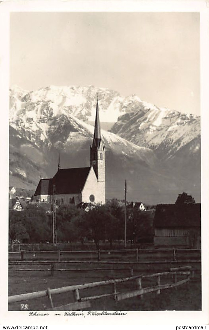 Liechtenstein - SCHAAN - Falkuis - Verlag A. Buck 79 - Liechtenstein