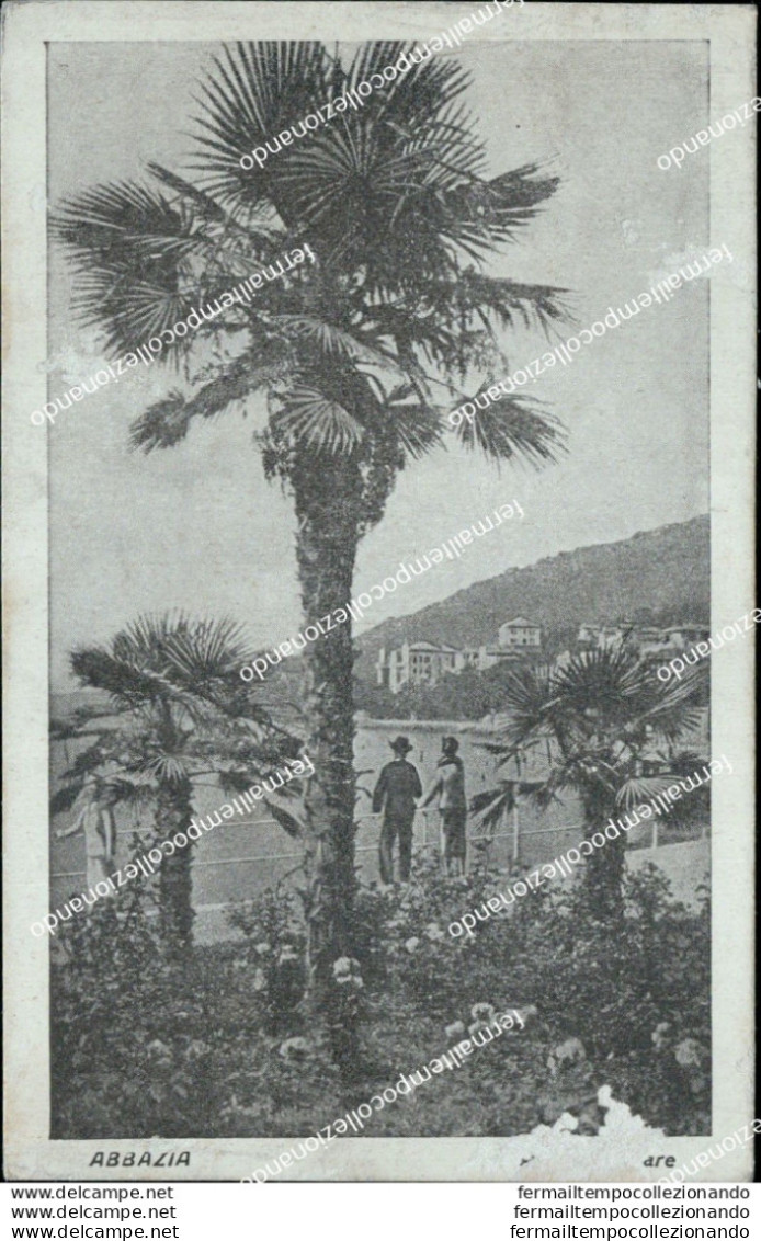 Bd331 Cartolina Abbazia Agave An Der Stradpromenade   Croazia - Other & Unclassified